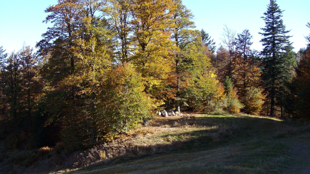 Photo of Outdoor in Taintrux