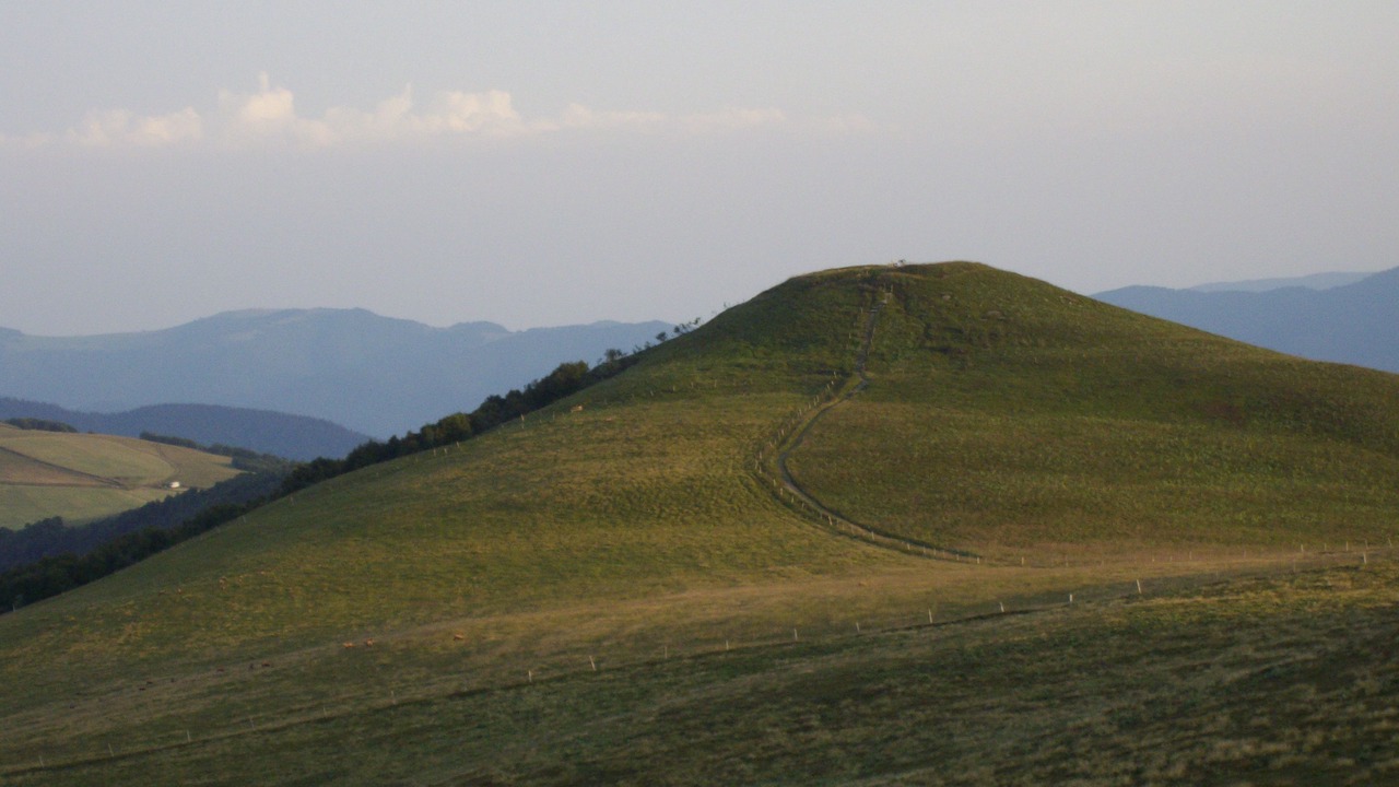 Photo of Others in Taintrux