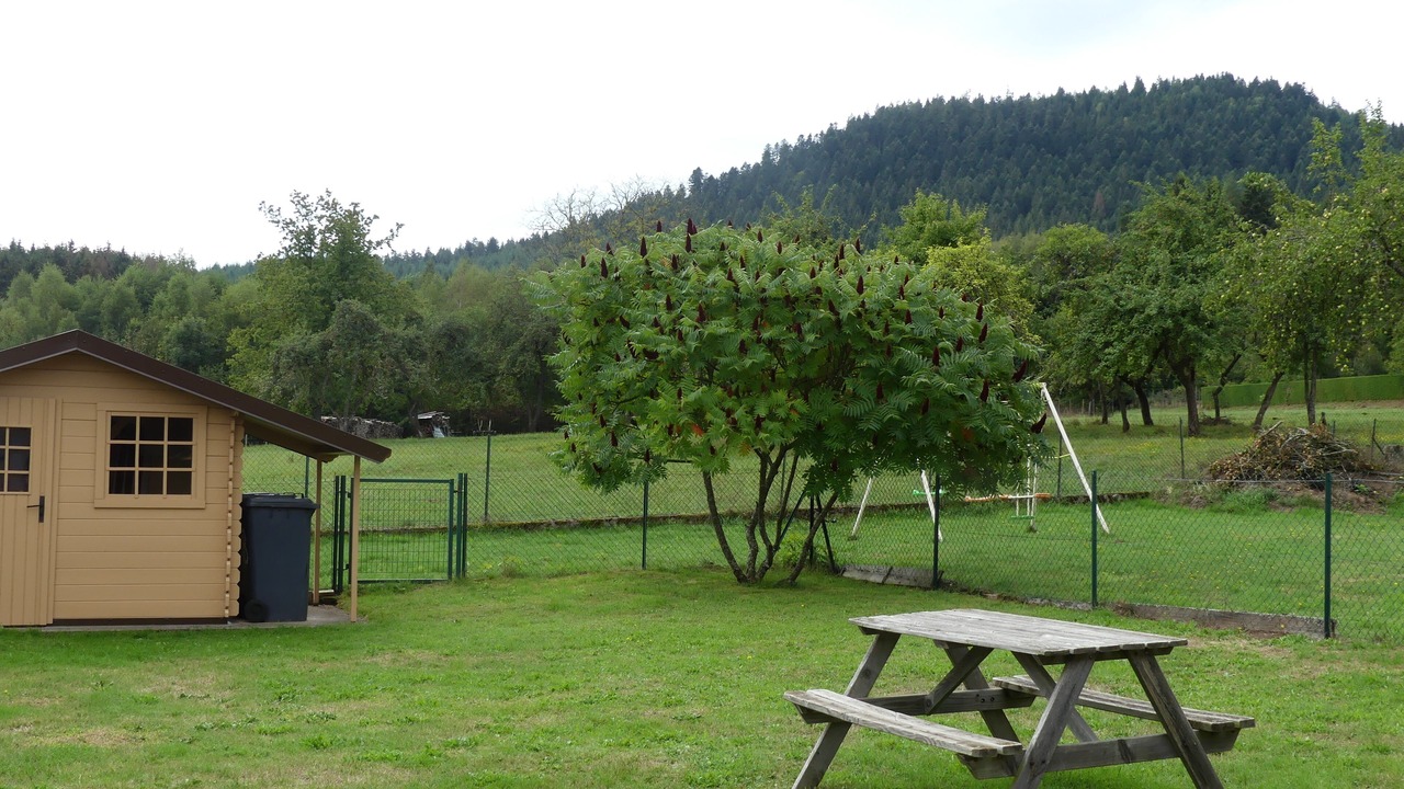 Photo of Outdoor in Taintrux