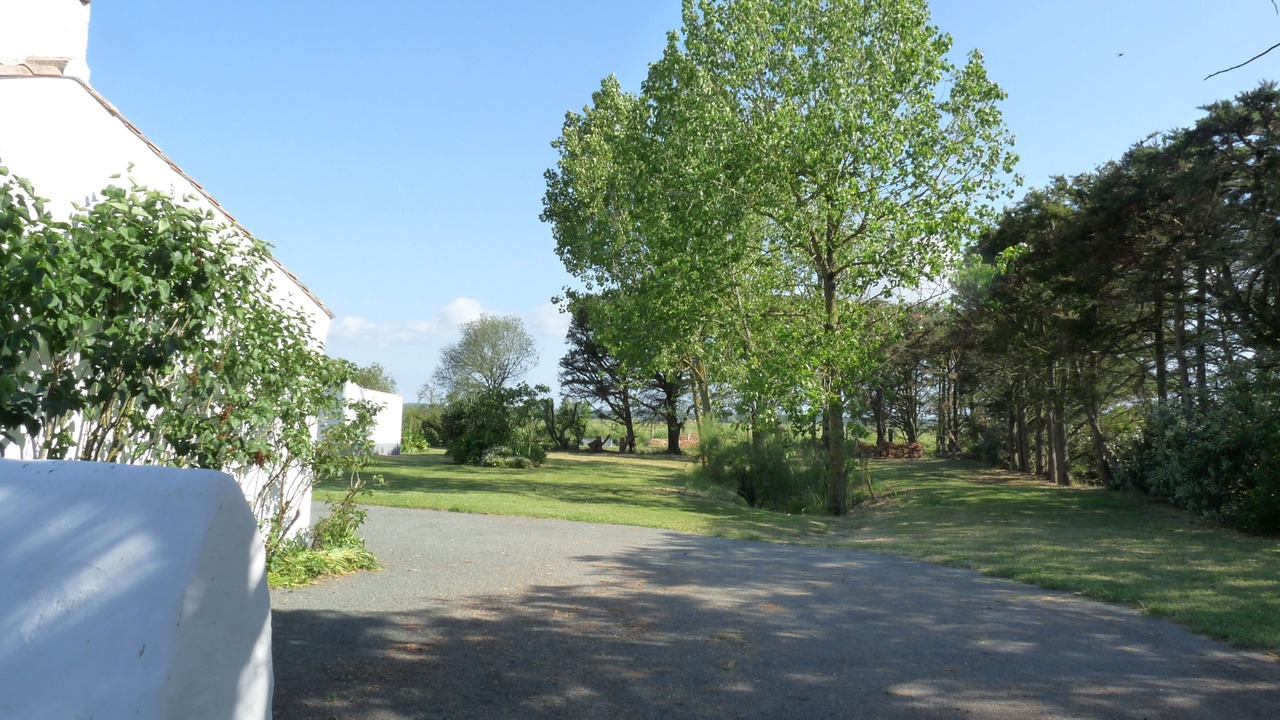 Photo of Outdoor in Bouin