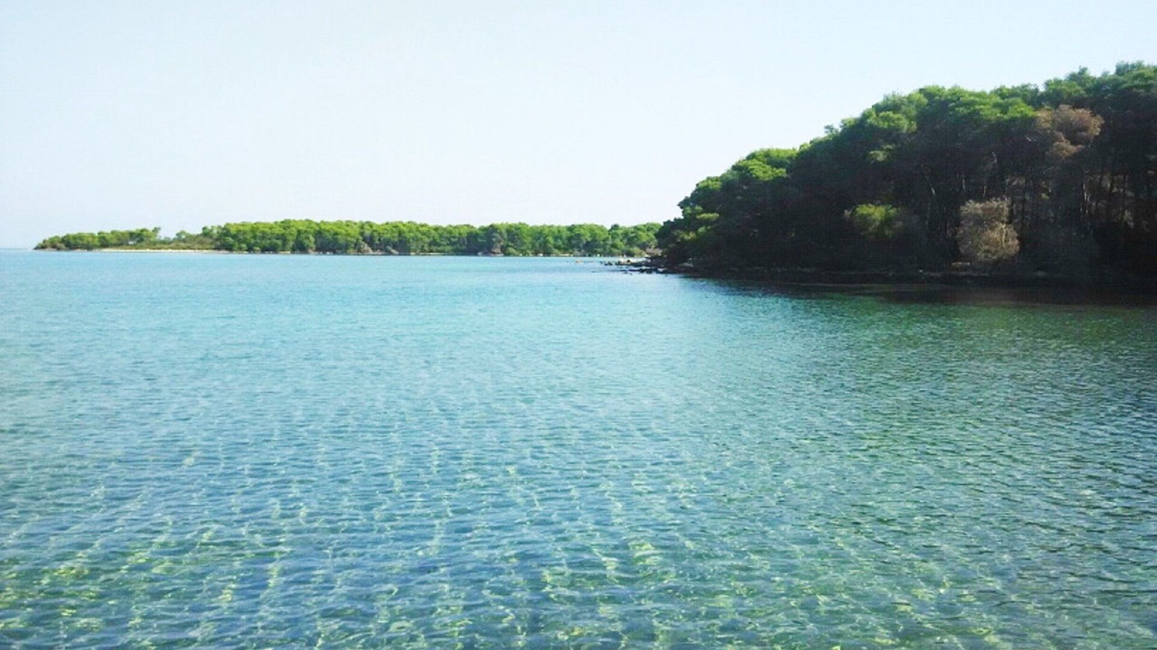 Photo of Others in Molat