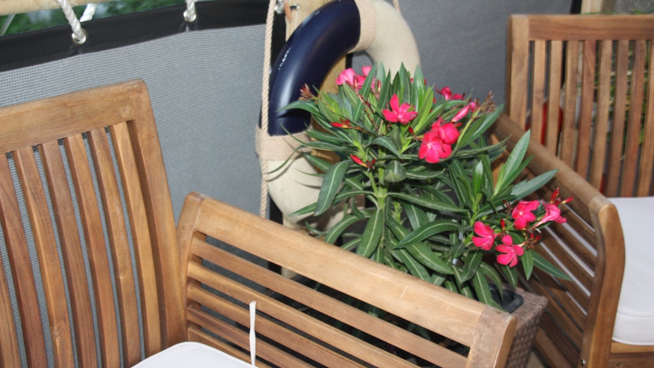 Photo of Outdoor in Bleriot-Plage