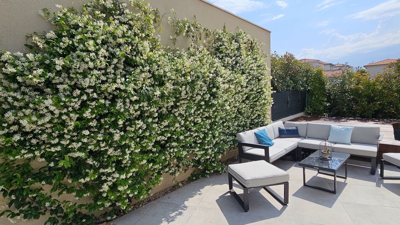 Photo of Patio Balcony in Villeneuve-les-Maguelone