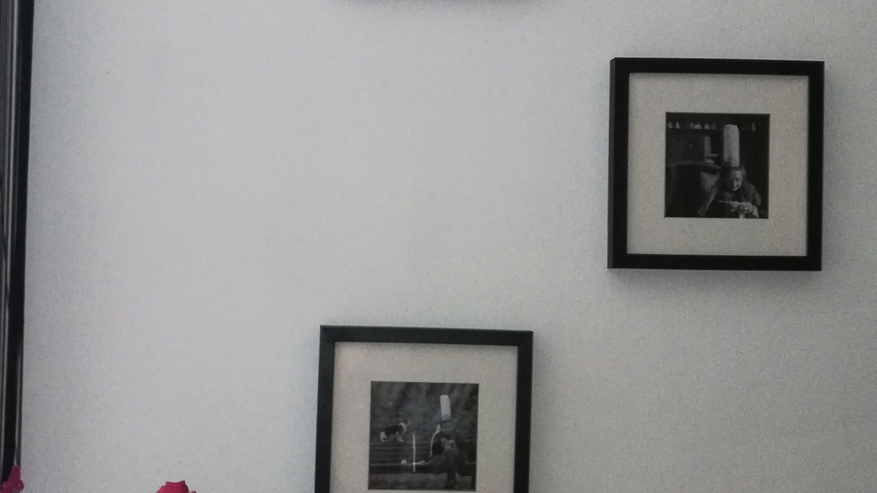 Photo of Others in Plelan-le-Petit