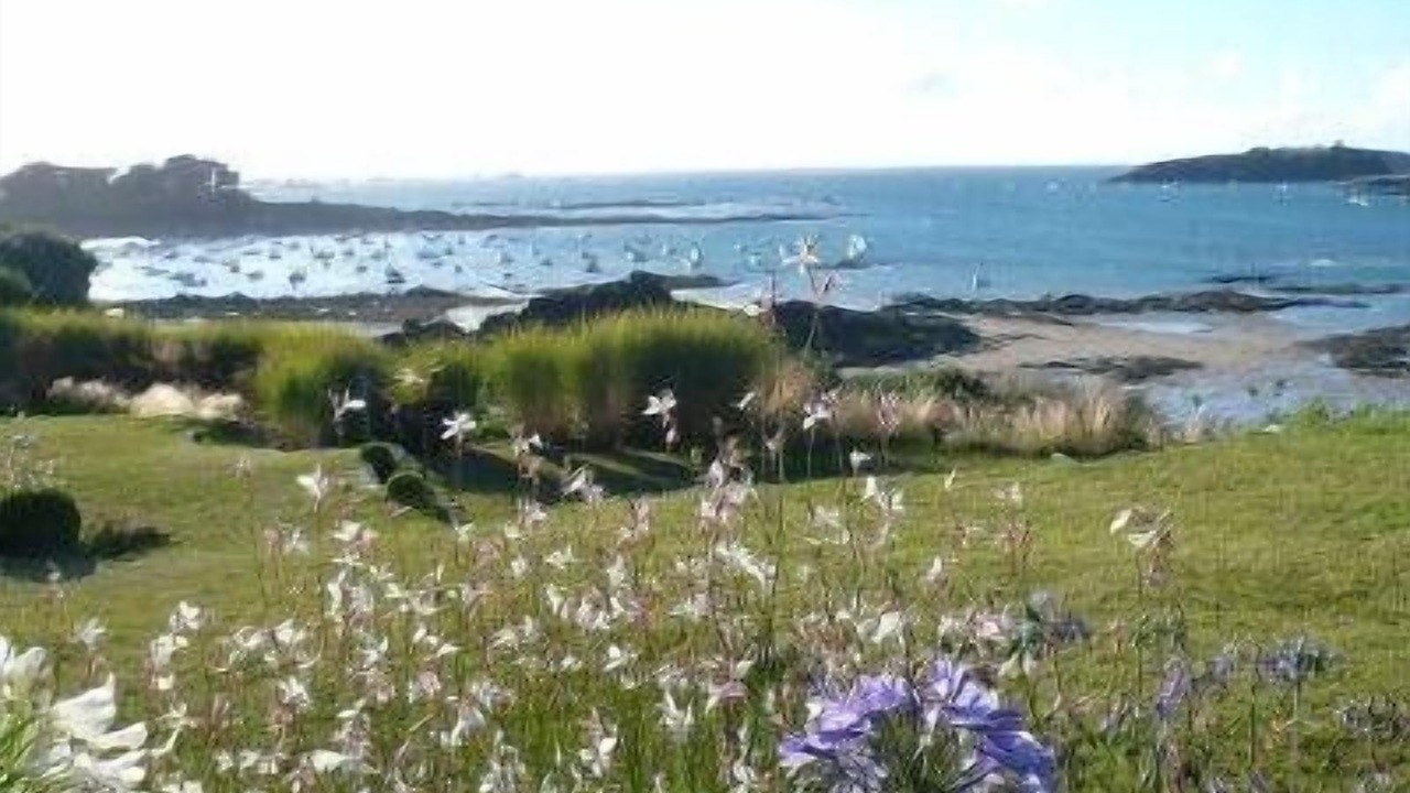 Photo of Others in Plelan-le-Petit