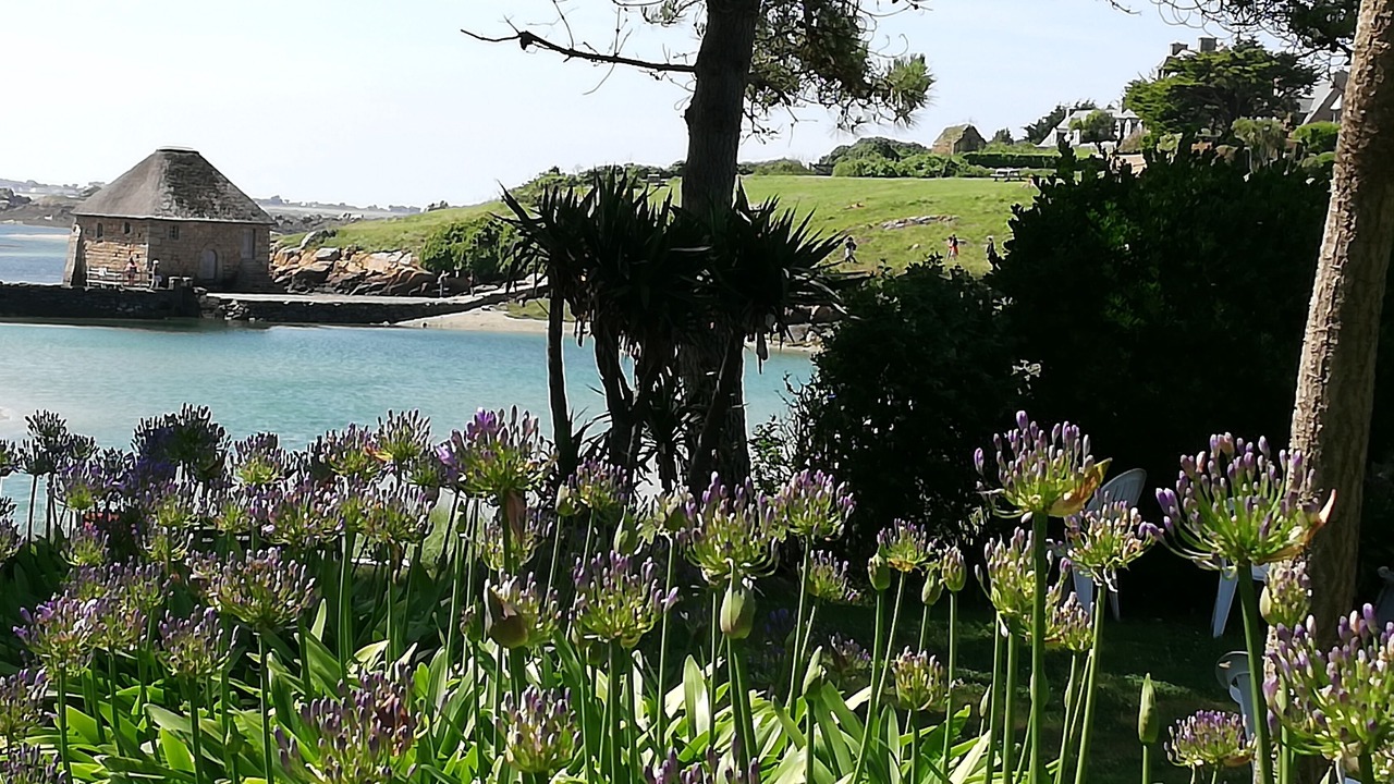 Photo of Outdoor in Plelan-le-Petit