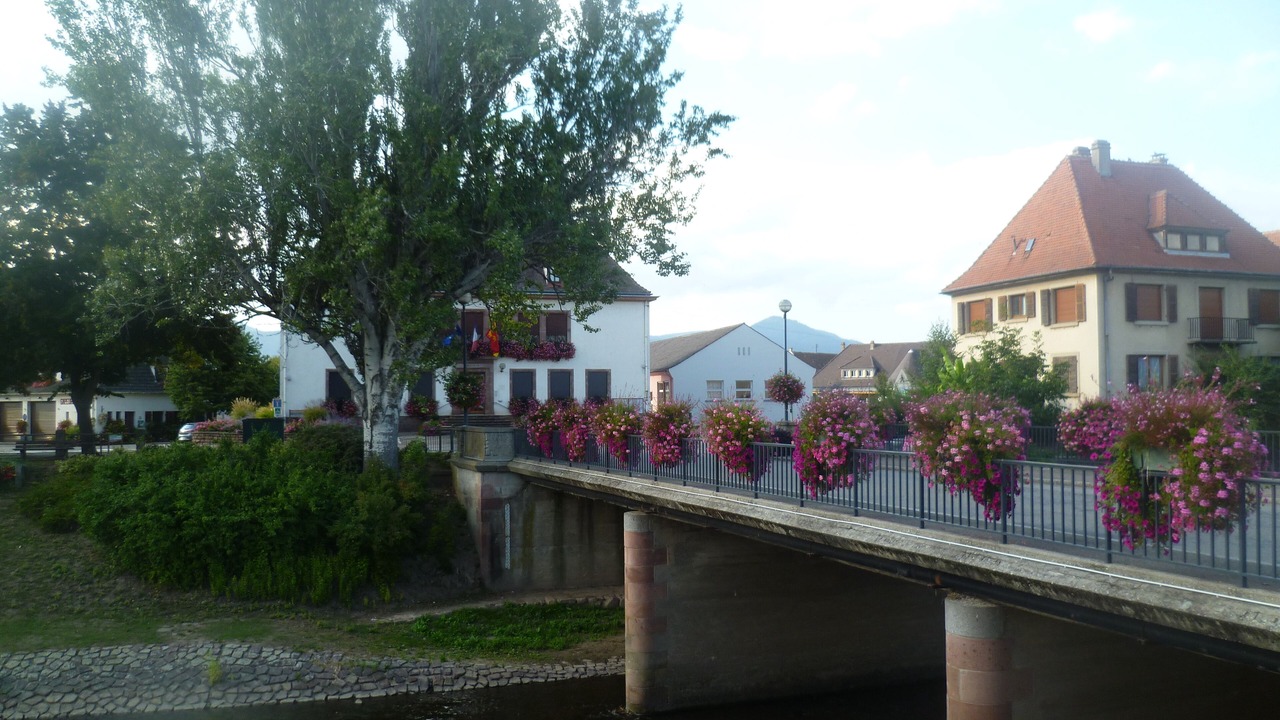 Photo of Others in Ostheim