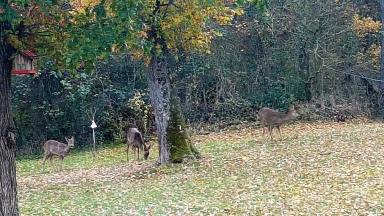 Photo of Outdoor in Maurens