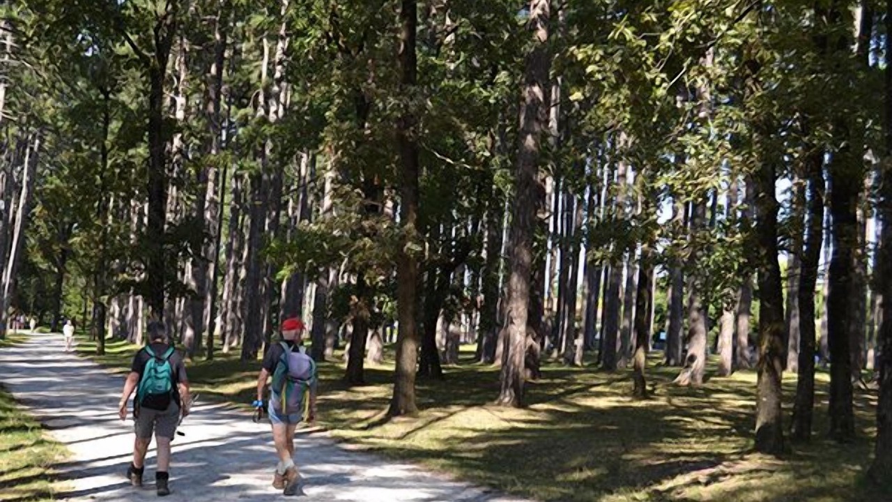 Photo of Outdoor in Durfort