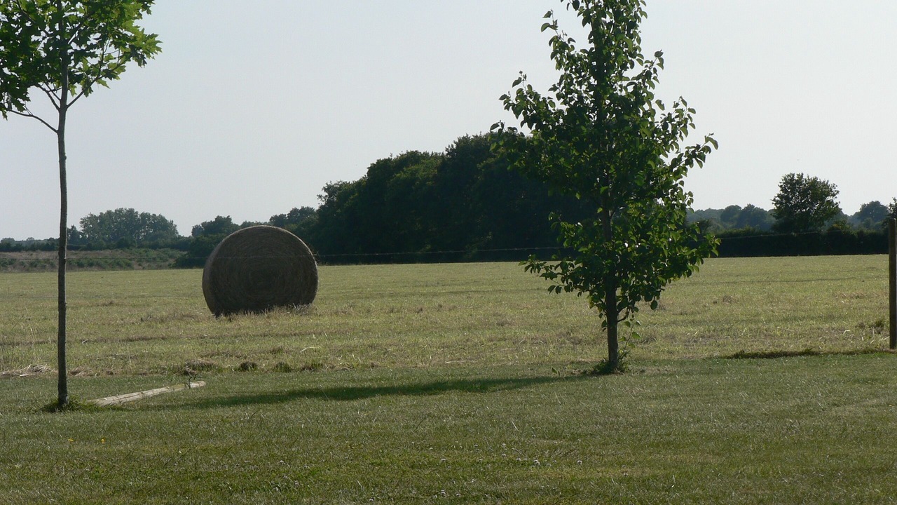 Photo of Others in Beaurepaire