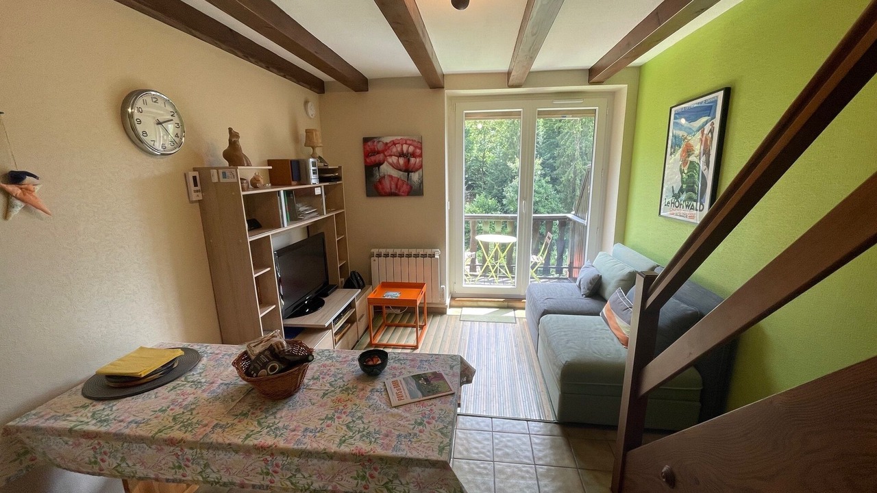 Photo of Livingroom in Le Hohwald