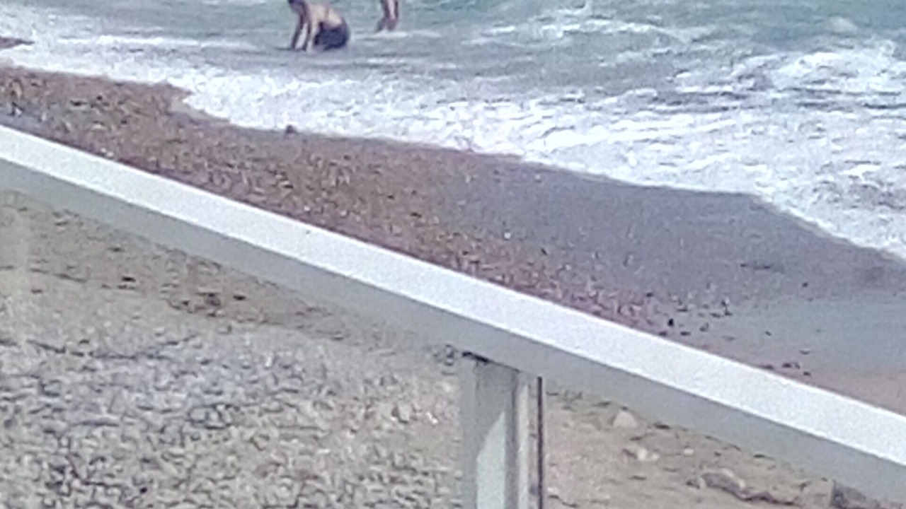 Photo of Outdoor in La Chaume