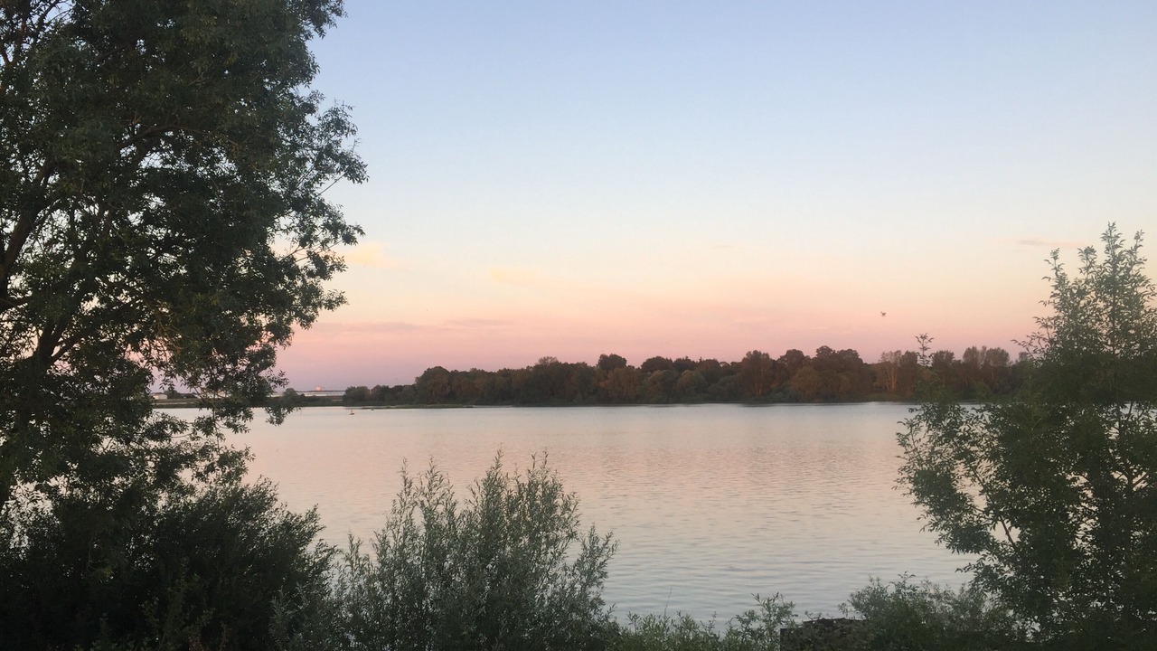 Photo of Others in Sainte-Luce-sur-Loire