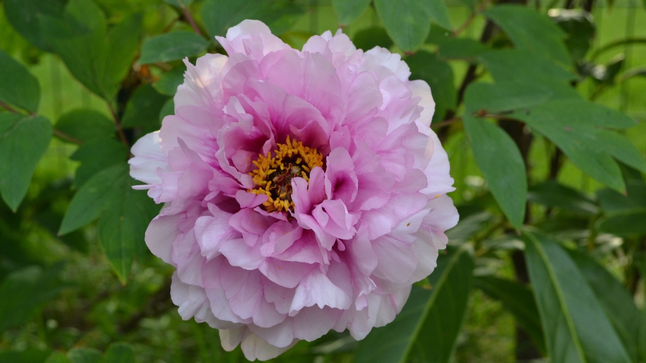 Photo of Outdoor in Tannay