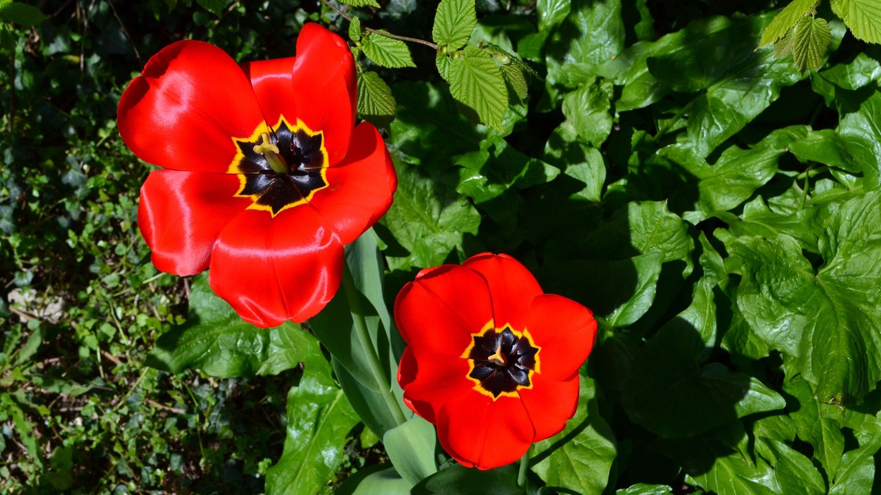 Photo of Others in Tannay