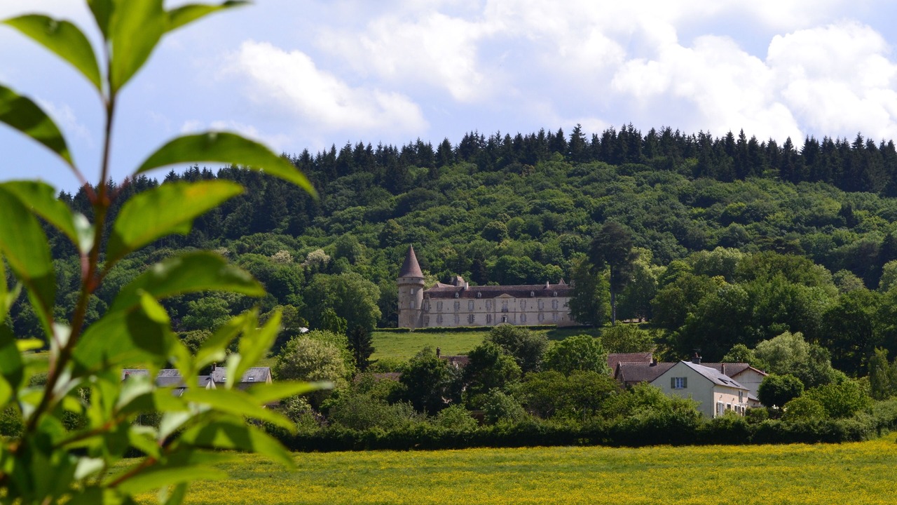 Photo of Outdoor in Tannay