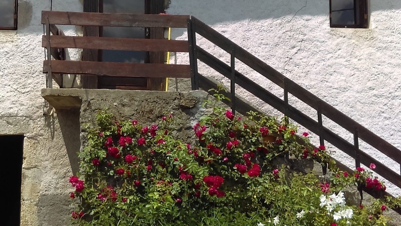 Photo of Outdoor in Fayet-Ronaye
