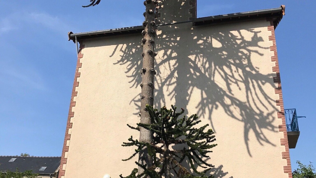 Photo of Outdoor in Le Minihic-sur-Rance