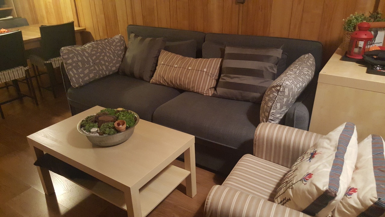 Photo of Livingroom in Pyrenees 2000