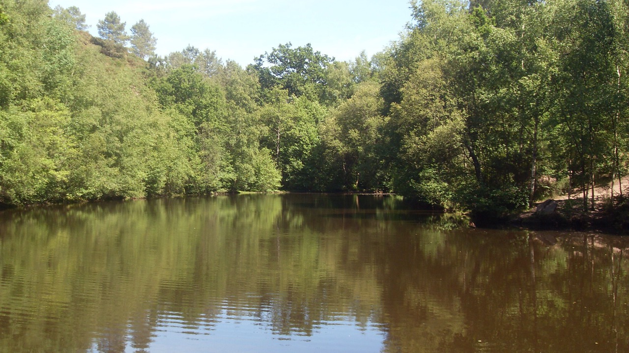 Photo of Outdoor in Bruc-sur-Aff