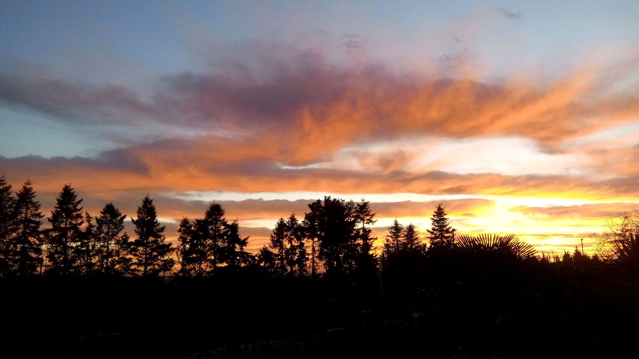 Photo of Others in Bruc-sur-Aff