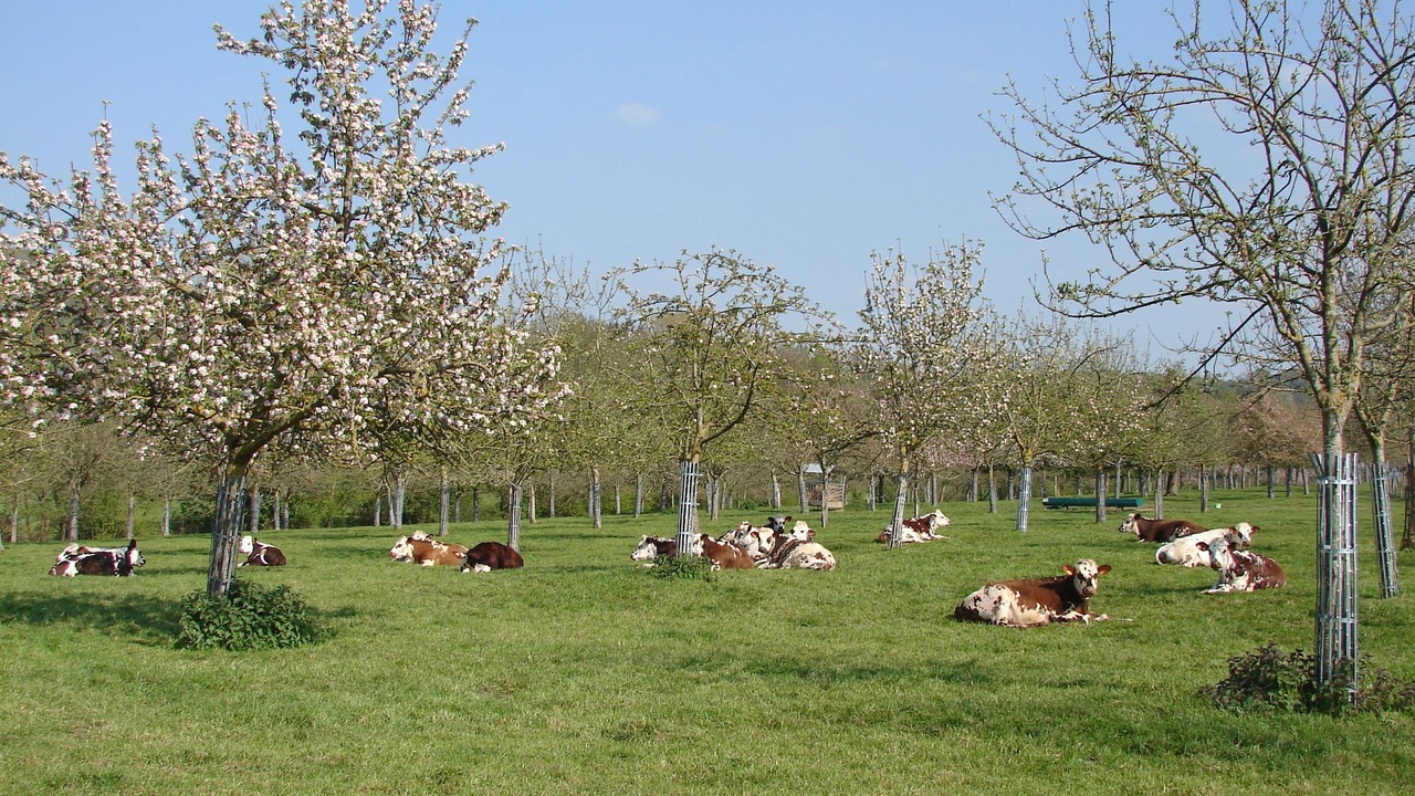 Photo of Outdoor in Benerville-sur-Mer