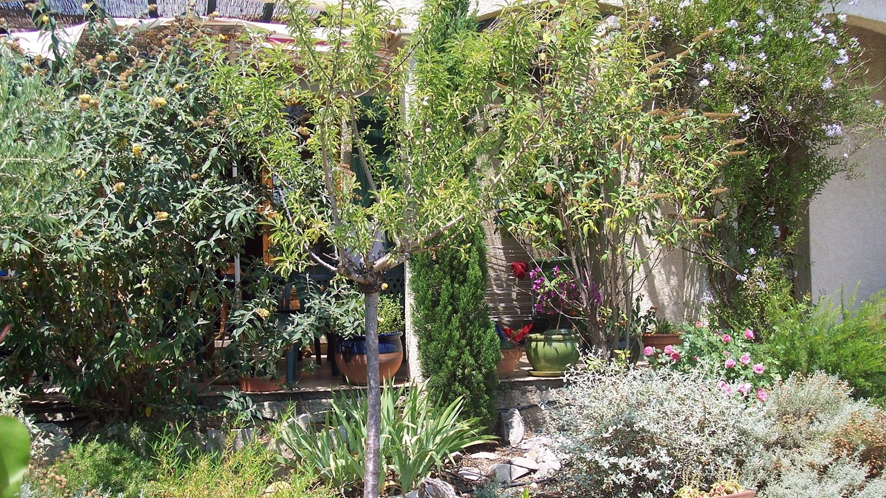 Photo of Outdoor in Cournonsec