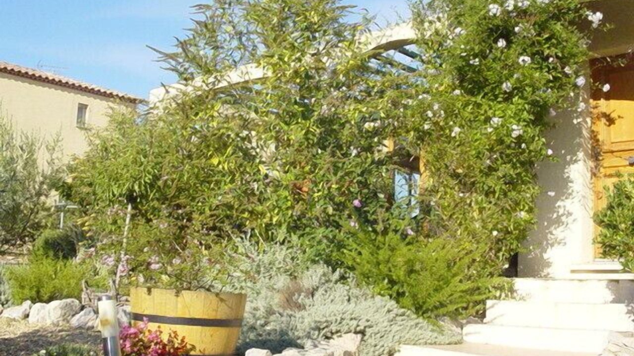 Photo of Outdoor in Cournonsec