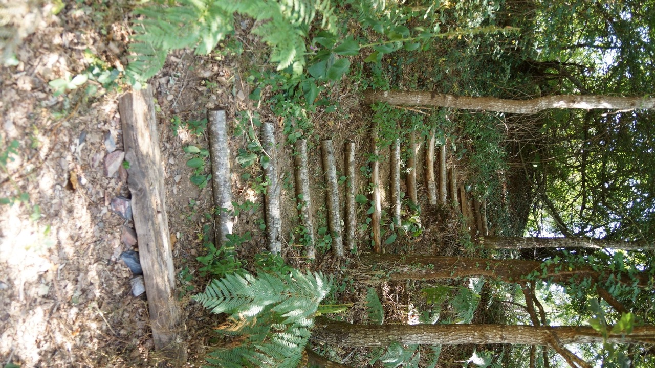 Photo of Outdoor in Le Champ-Saint-Pere