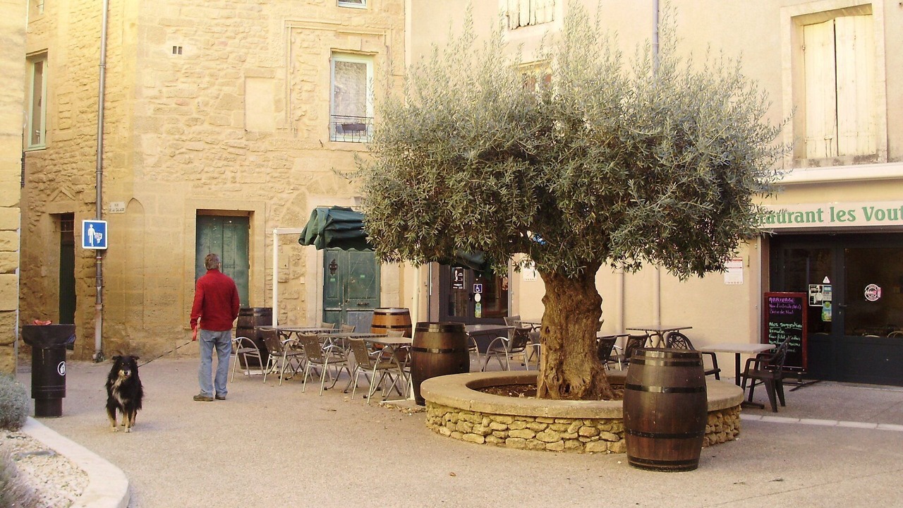 Photo of Outdoor in Beauvoisin