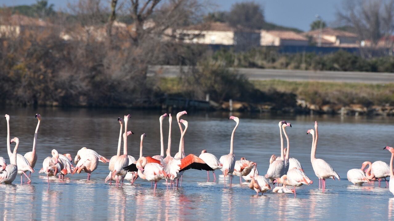 Photo of Outdoor in Beauvoisin