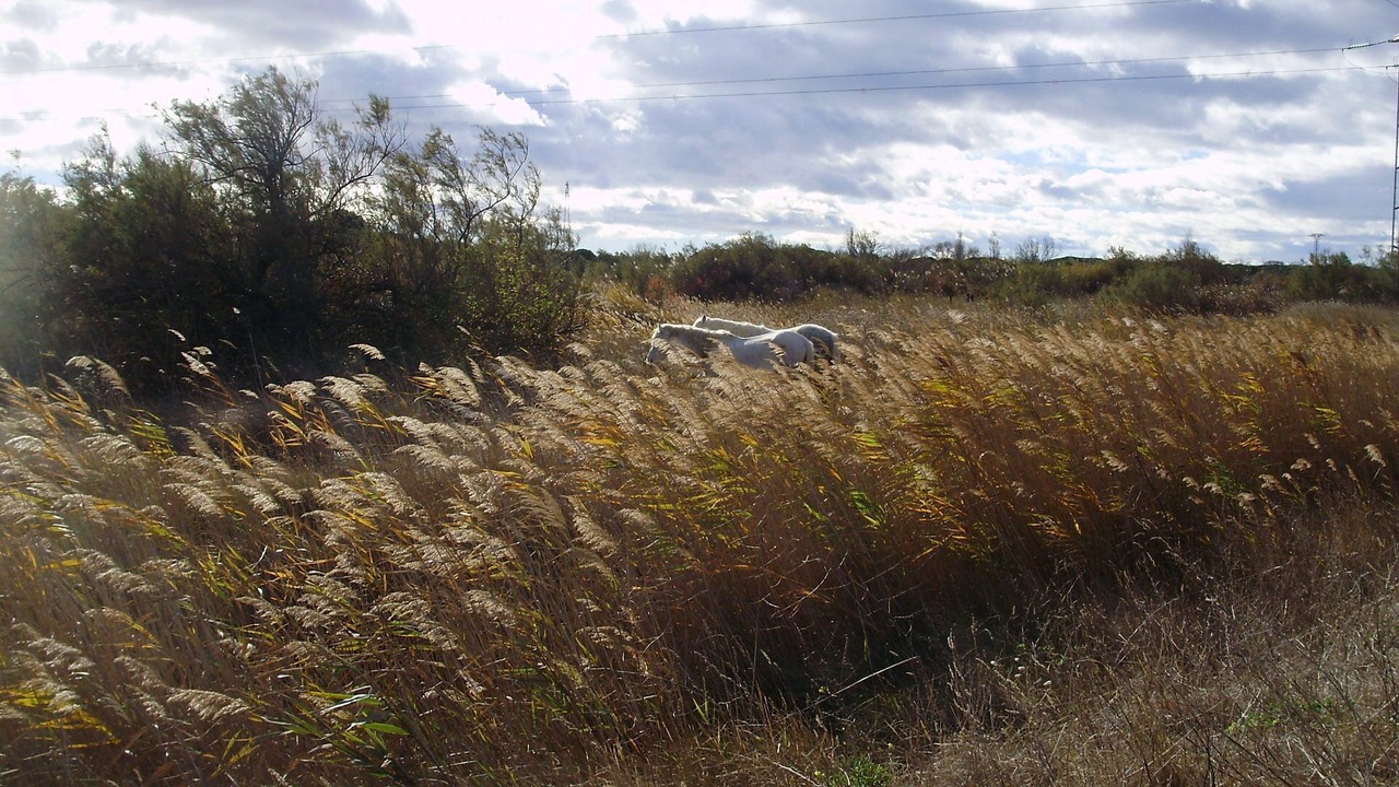 Photo of Outdoor in Beauvoisin