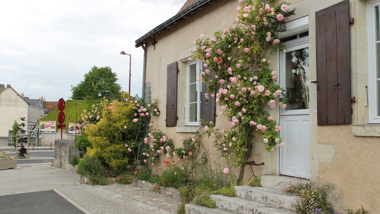 Photo of Outdoor in Pernay