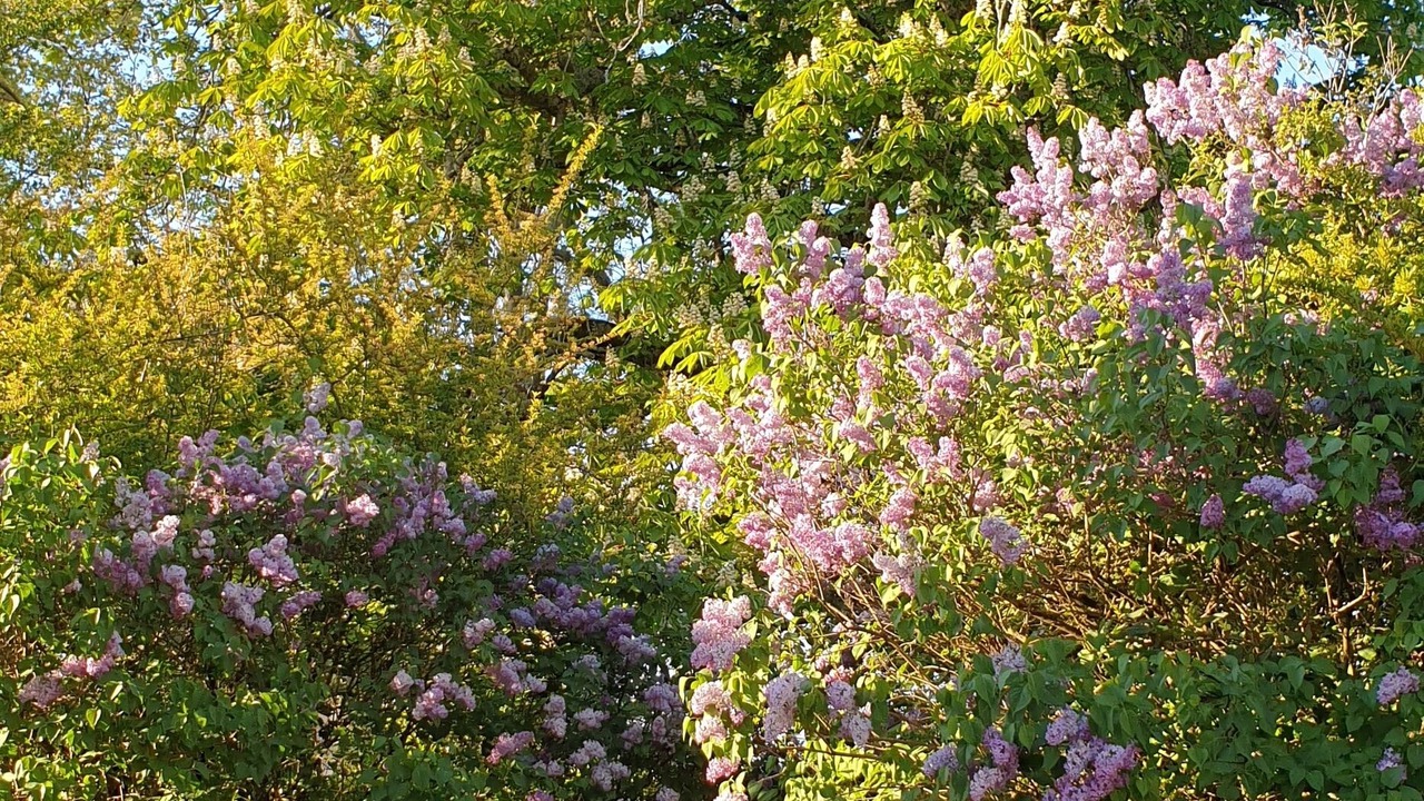 Photo of Outdoor in Beaumont-de-Lomagne