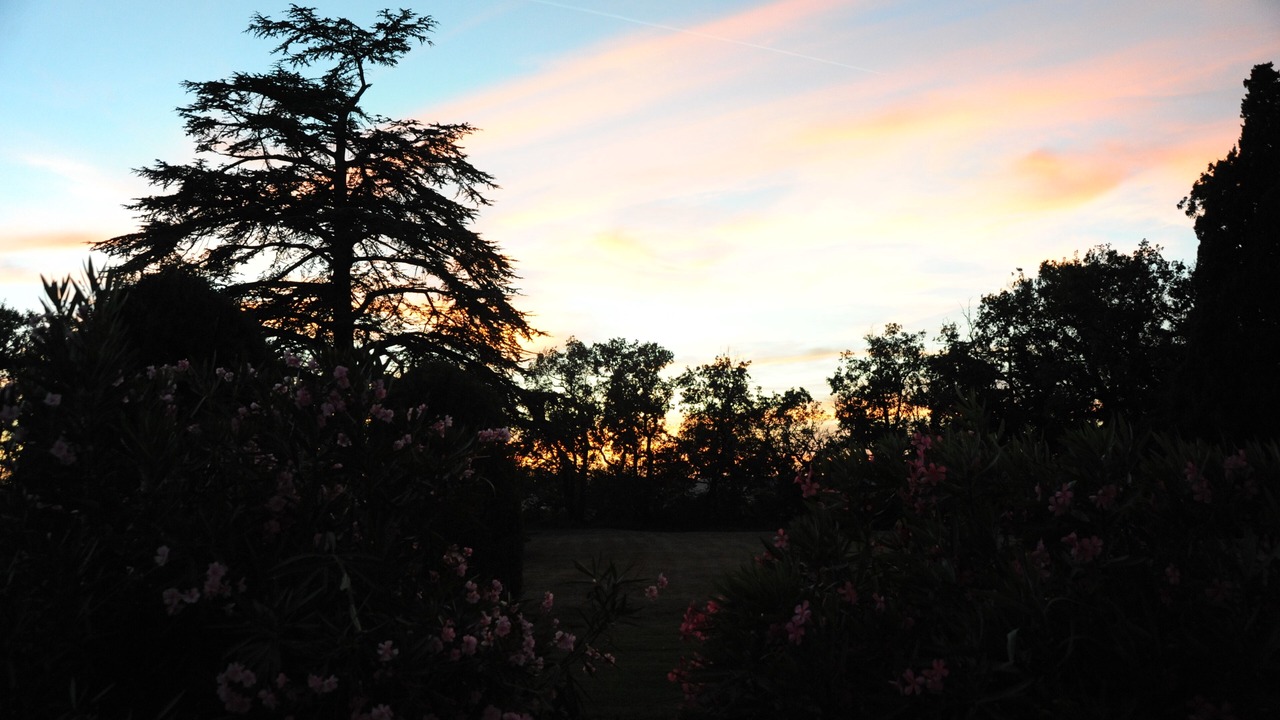 Photo of Outdoor in Beaumont-de-Lomagne