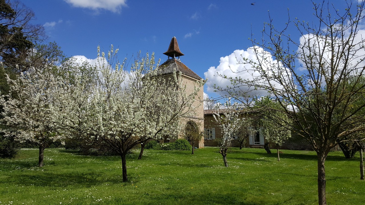 Photo of Outdoor in Beaumont-de-Lomagne