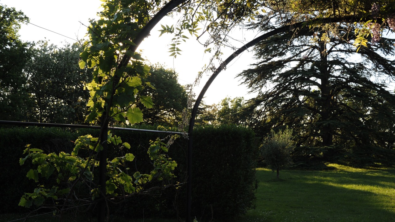 Photo of Outdoor in Beaumont-de-Lomagne