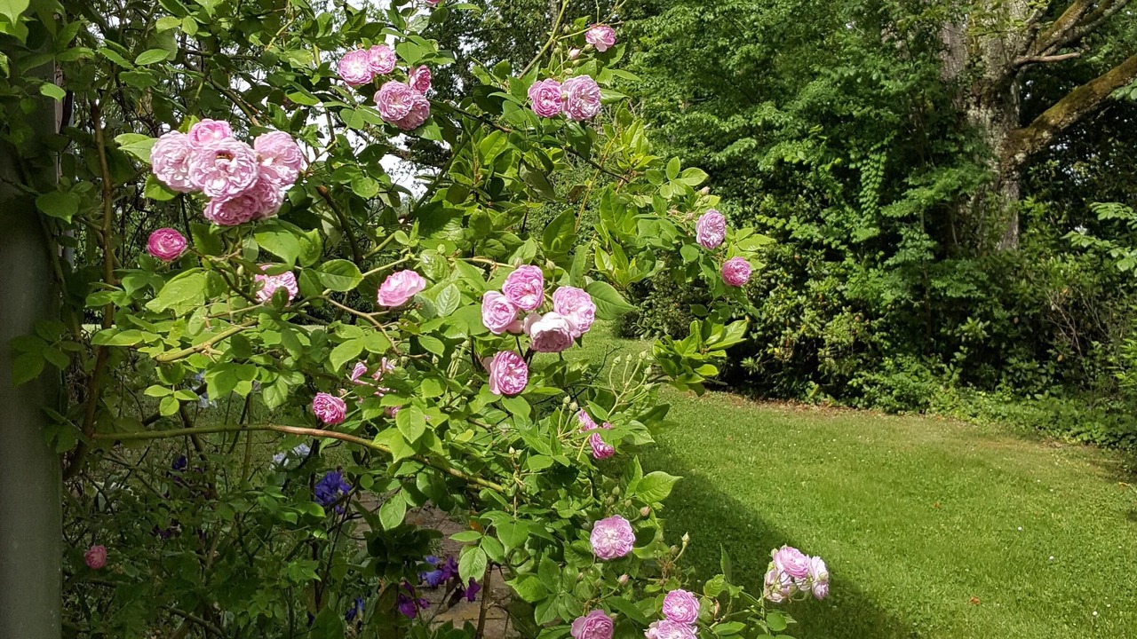 Photo of Outdoor in Beaumont-de-Lomagne