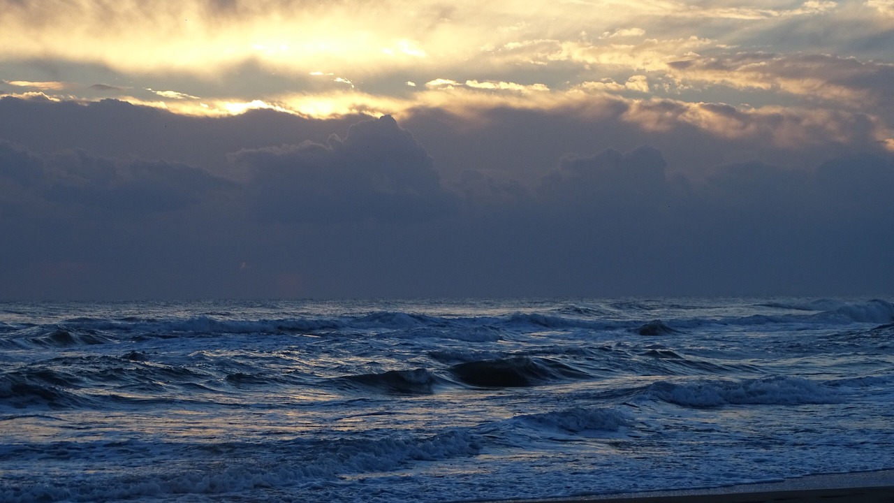 Photo of Others in Le Grau-Du-Roi