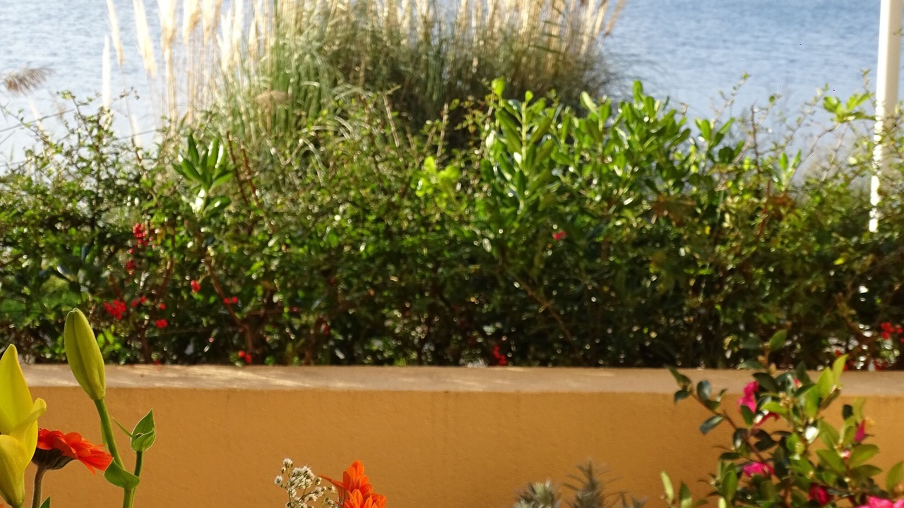 Photo of Outdoor in Le Grau-Du-Roi