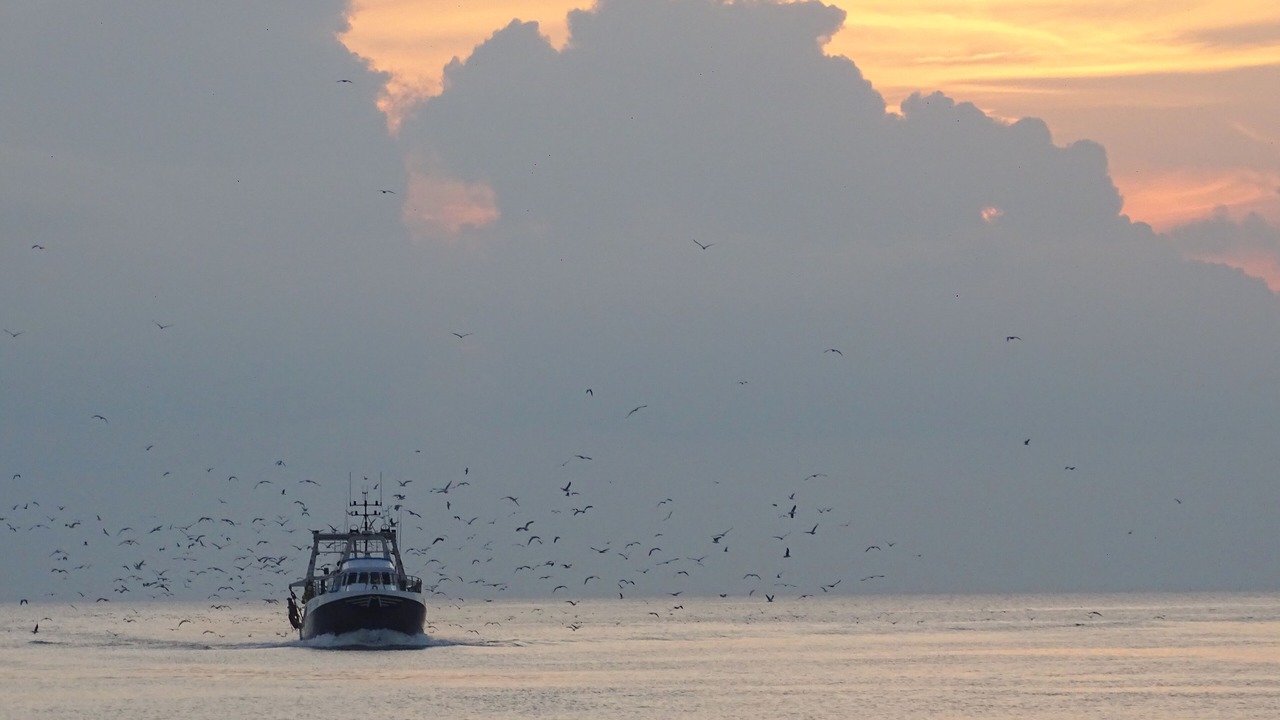 Photo of Others in Le Grau-Du-Roi