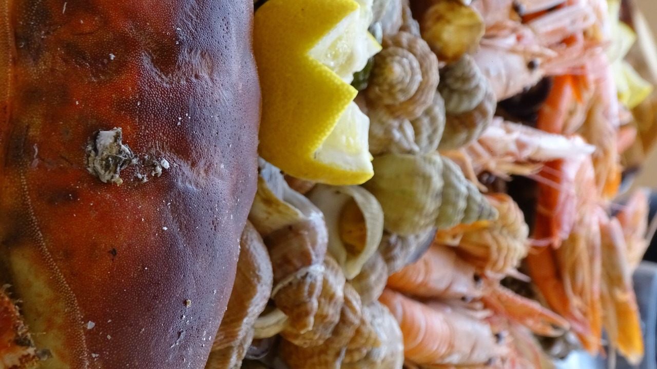 Photo of Others in Le Grau-Du-Roi