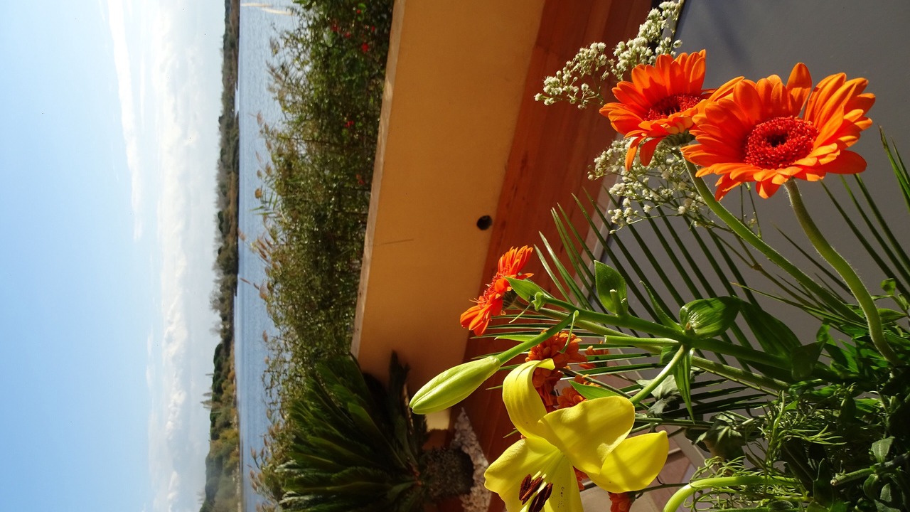 Photo of Others in Le Grau-Du-Roi