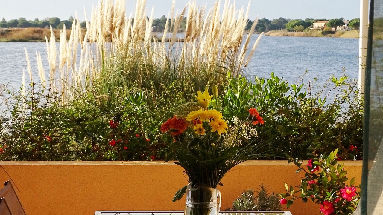 Photo of Outdoor in Le Grau-Du-Roi