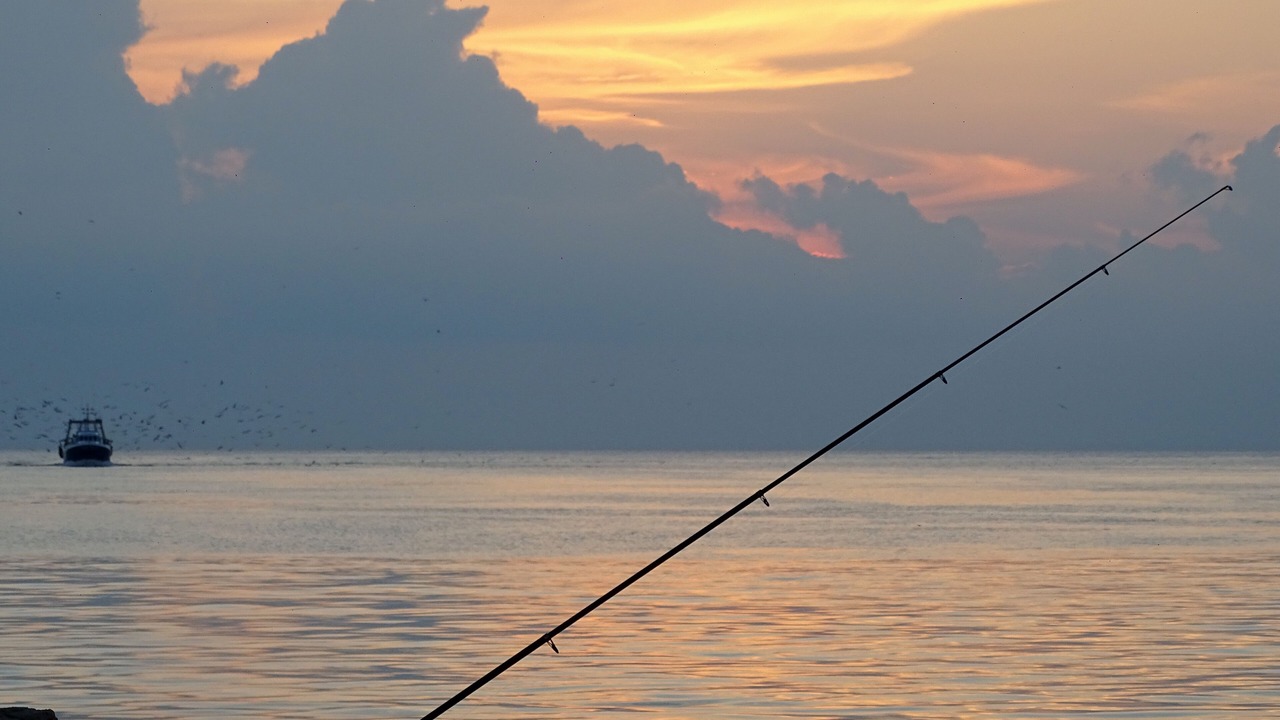 Photo of Others in Le Grau-Du-Roi