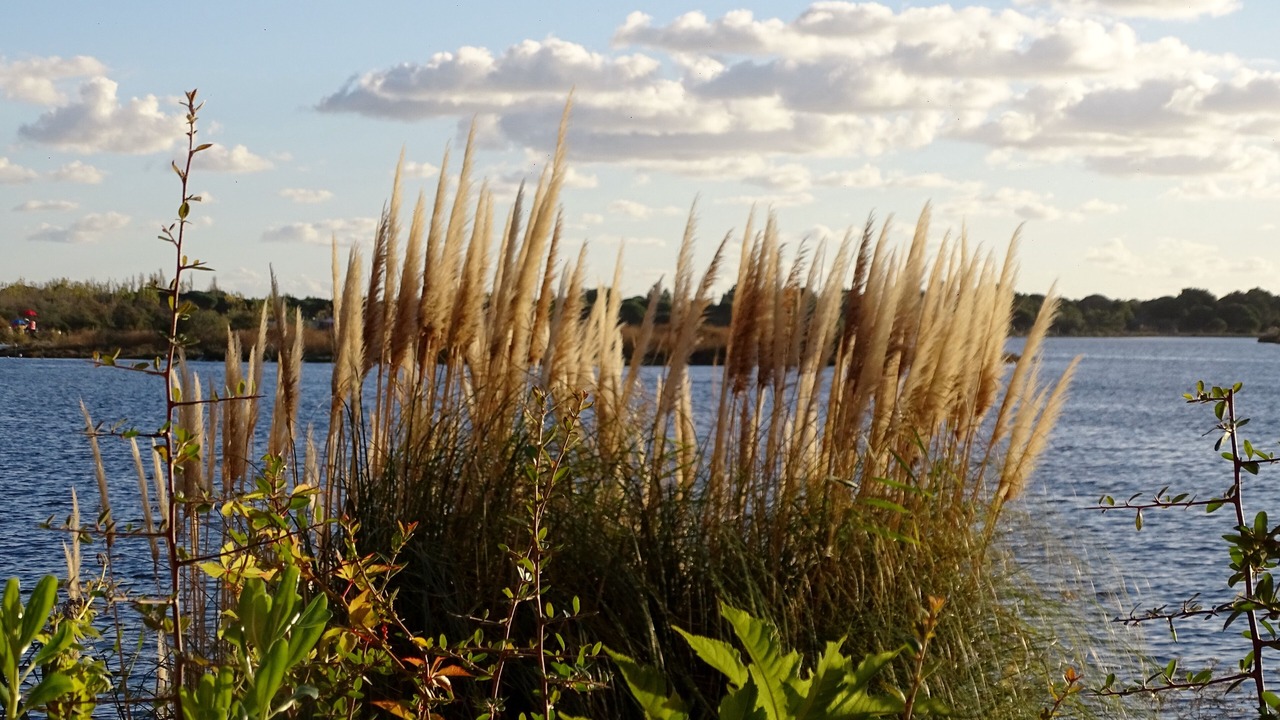 Photo of Outdoor in Le Grau-Du-Roi
