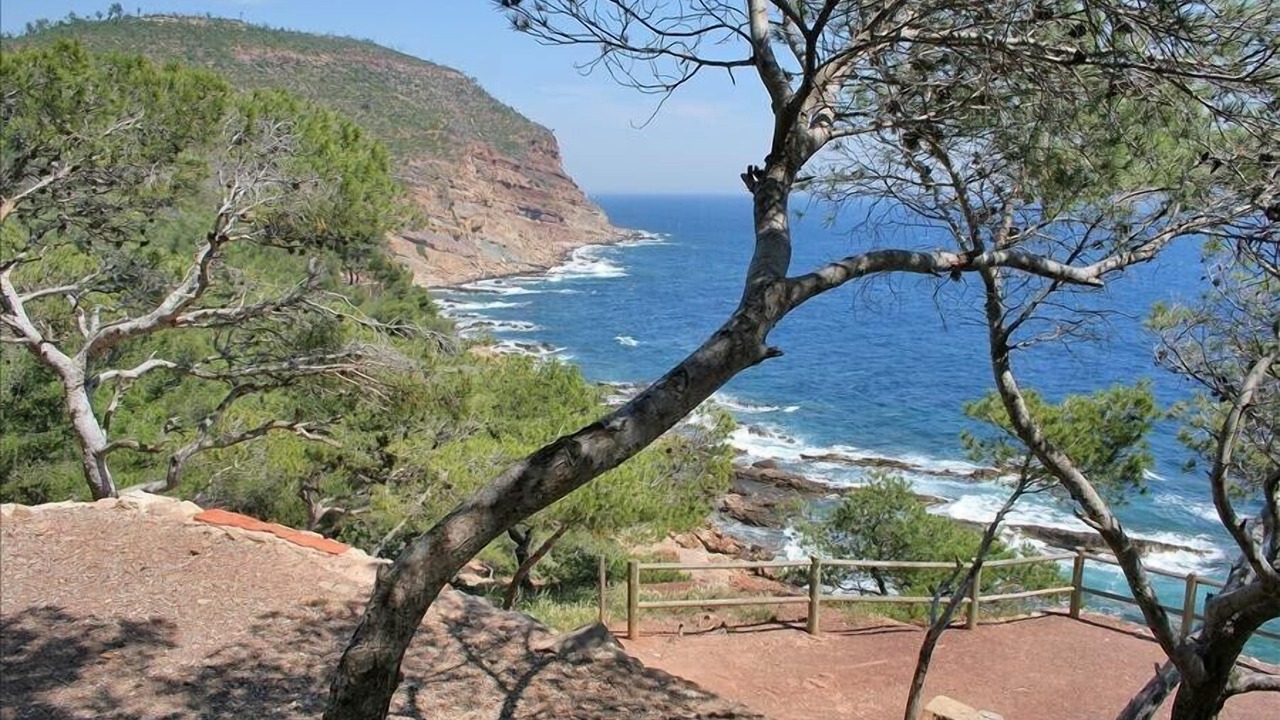 Photo of Outdoor in Le Pradet