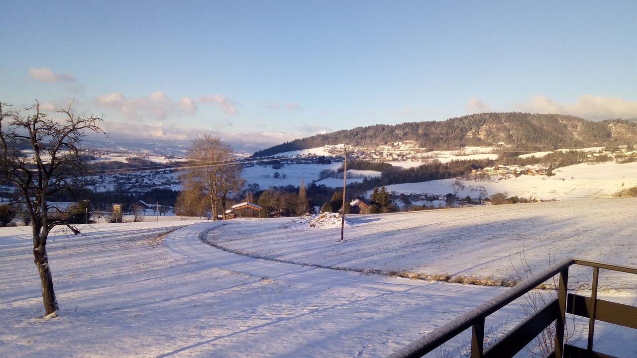 Photo of Patio Balcony in Viuz-en-Sallaz