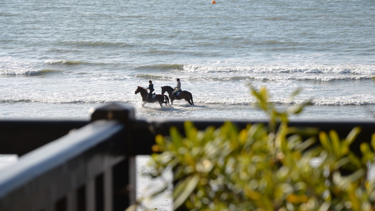 Photo of Outdoor in Blonville-sur-Mer