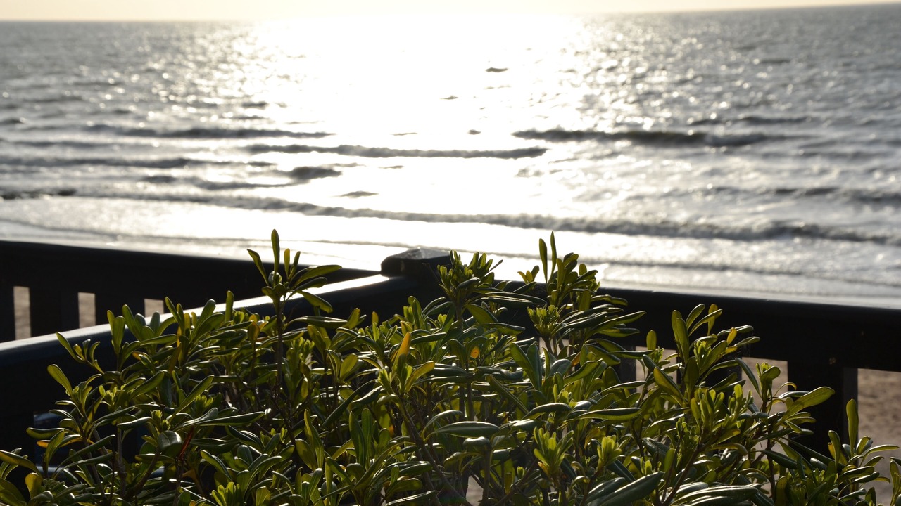 Photo of Others in Blonville-sur-Mer